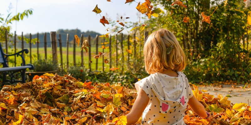 Herbstferienprogramm Pixabay zur freien Nutzung